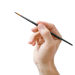 brush